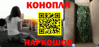 сатива Дубна