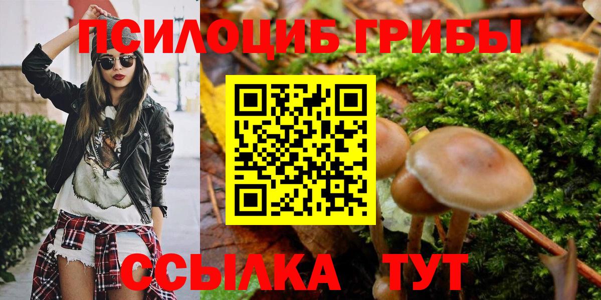 Галлюциногенные грибы Psilocybine cubensis  Вход с VPN  где найти   Новоалтайск 