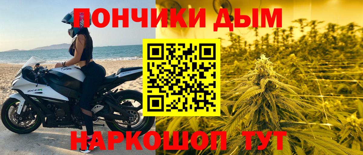 Бошки марихуана конопля Новоалтайск